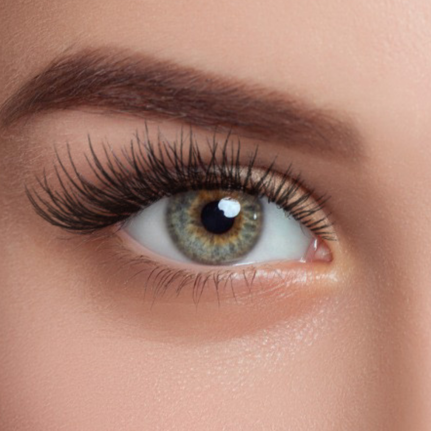 Classic EZ Lashes Extension System