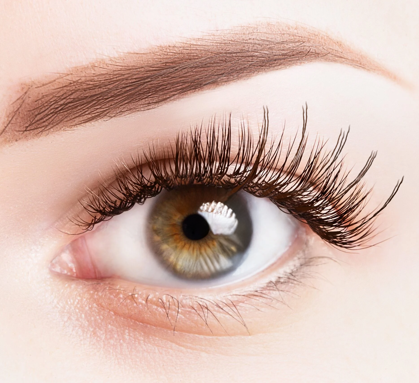 Diva - Eyelash Clusters