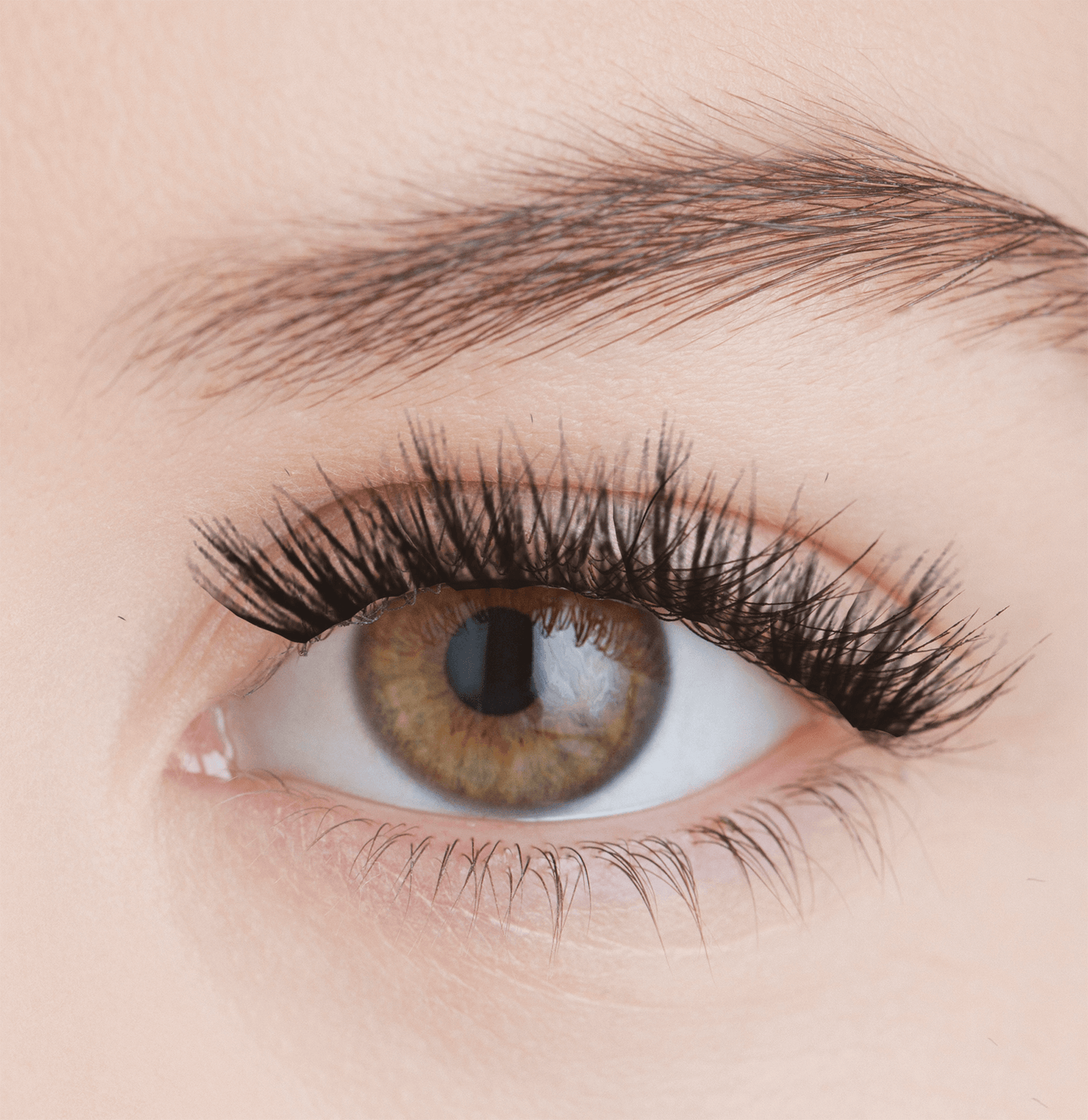 Envy EZ Lashes Extension System